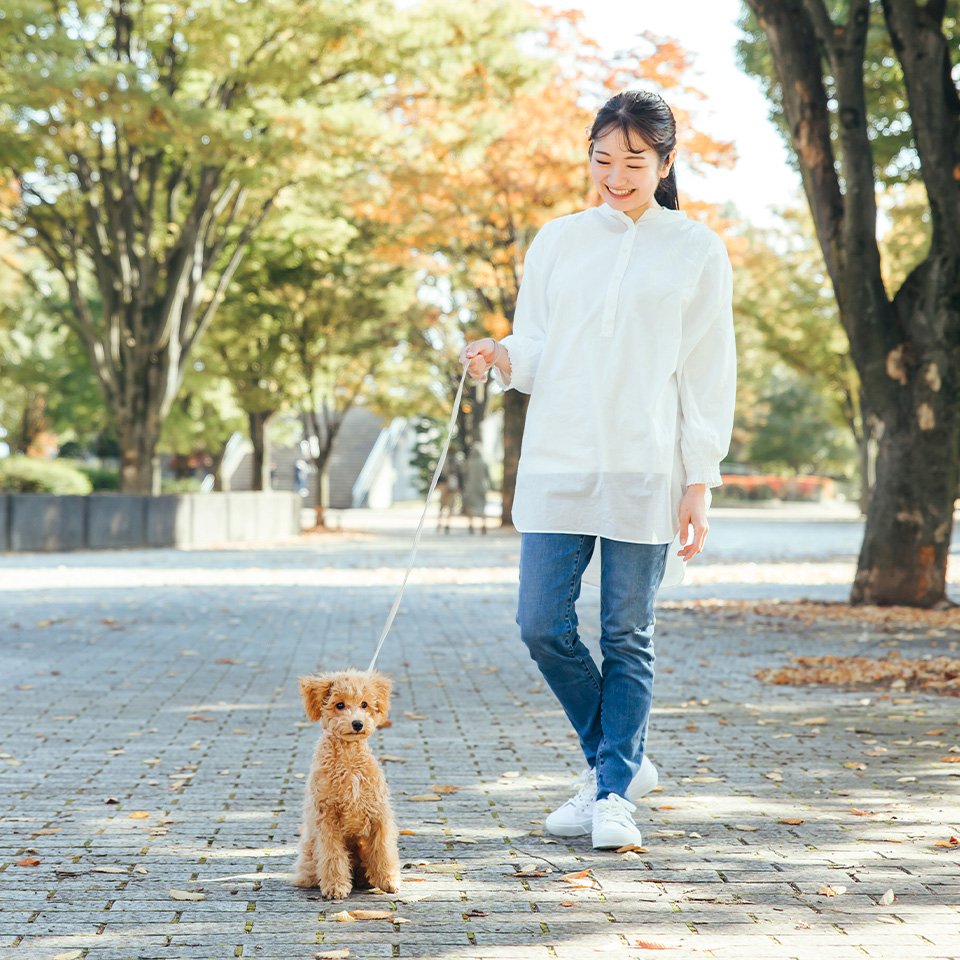 「ちょっとそこまで」の外出だと、エアコンを消すかどうか迷うなあ。