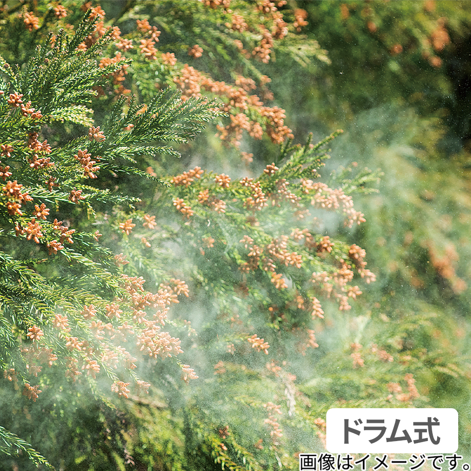 思っていたより省エネだったから、もう、花粉の季節も乾燥機能をがまんしません。