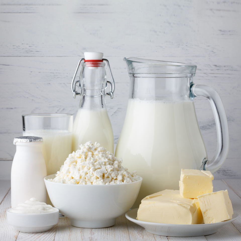 乳製品や発酵食品は、どこに入れるのが正解ですか？